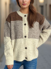 Load image into Gallery viewer, Color Block Round Neck Button Up Cardigan