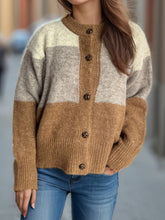 Load image into Gallery viewer, Color Block Round Neck Button Up Cardigan