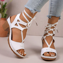 Load image into Gallery viewer, 6a3eedc5-19ae-4824-b10c-5f8b6422e8b3-Max