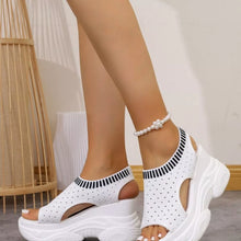 Load image into Gallery viewer, 784c4a07626141dc9d10fc94c156dd9c-Max-Origin