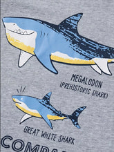 Load image into Gallery viewer, 80e069b9-ac52-4070-8c2e-27622cdb8d11-Max-Origin