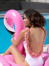 Load image into Gallery viewer, 9fd9ebea-b43d-4b37-be56-f01648b391d9-Max-Origin