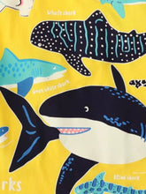 Load image into Gallery viewer, d00475a3-5c70-4c4d-96e1-75a1cf72aa02-Max-Origin