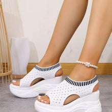 Load image into Gallery viewer, ef29ae20feb44df9b97b86b6ee8bb275-Max-Origin